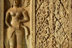 Cambogia