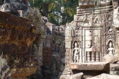 Cambogia