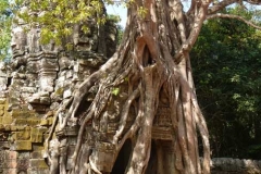 Cambogia