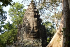 Cambogia