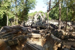 Cambogia
