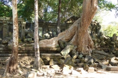 Cambogia