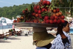 Cambogia