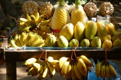 Cambogia