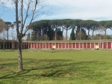 Pompei e Paestum