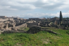 Pompei e Paestum