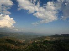 Cipro