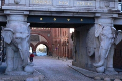 Copenaghen