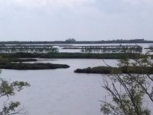 Delta del Po