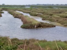 Delta del Po