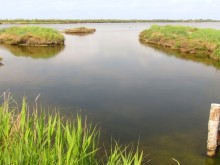 Delta del Po