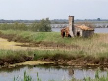 Delta del Po