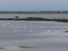 Delta del Po