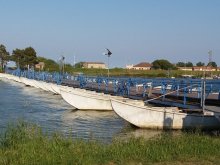 Delta del Po
