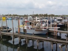 Delta del Po