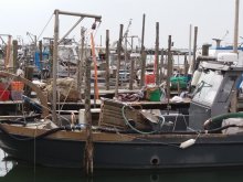 Delta del Po
