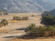 Oman