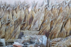Emirati Arabi Uniti