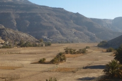 Oman