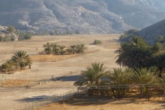 Oman