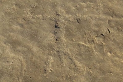 Oman
