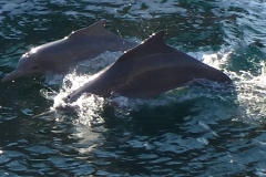 Oman