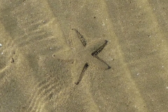Oman