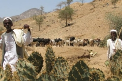 Eritrea