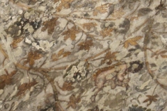 Giordania