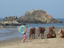 India del sud