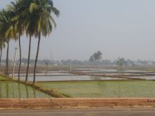 India del sud