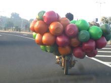 India del sud