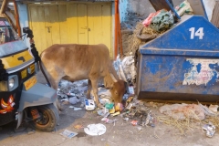India del sud