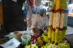India del sud