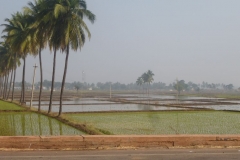India del sud