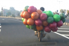 India del sud