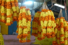 India del sud