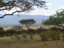 Kenya