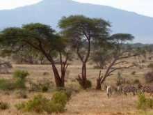 Kenya