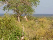 Kenya