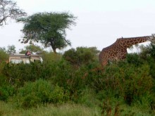 Kenya