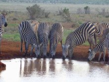 Kenya