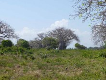 Kenya