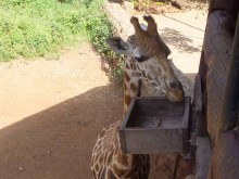 Kenya