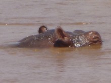 Kenya