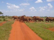 Kenya