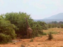 Kenya