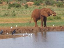 Kenya