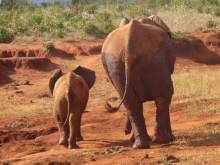 Kenya