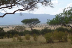 Kenya